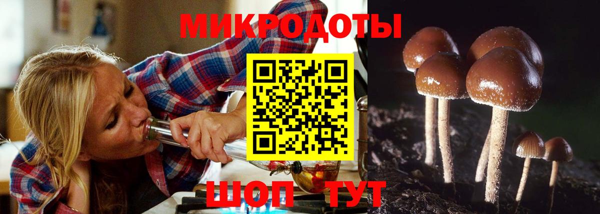 Псилоцибиновые грибы мицелий  Вход с VPN  Псилоцибиновые грибы Cubensis  Щёкино 